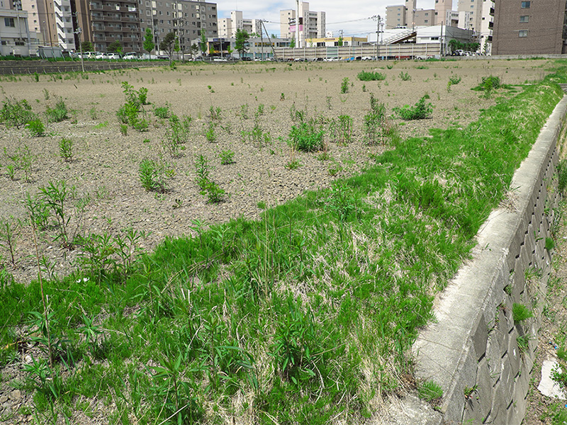 遊休地を有効活用したい