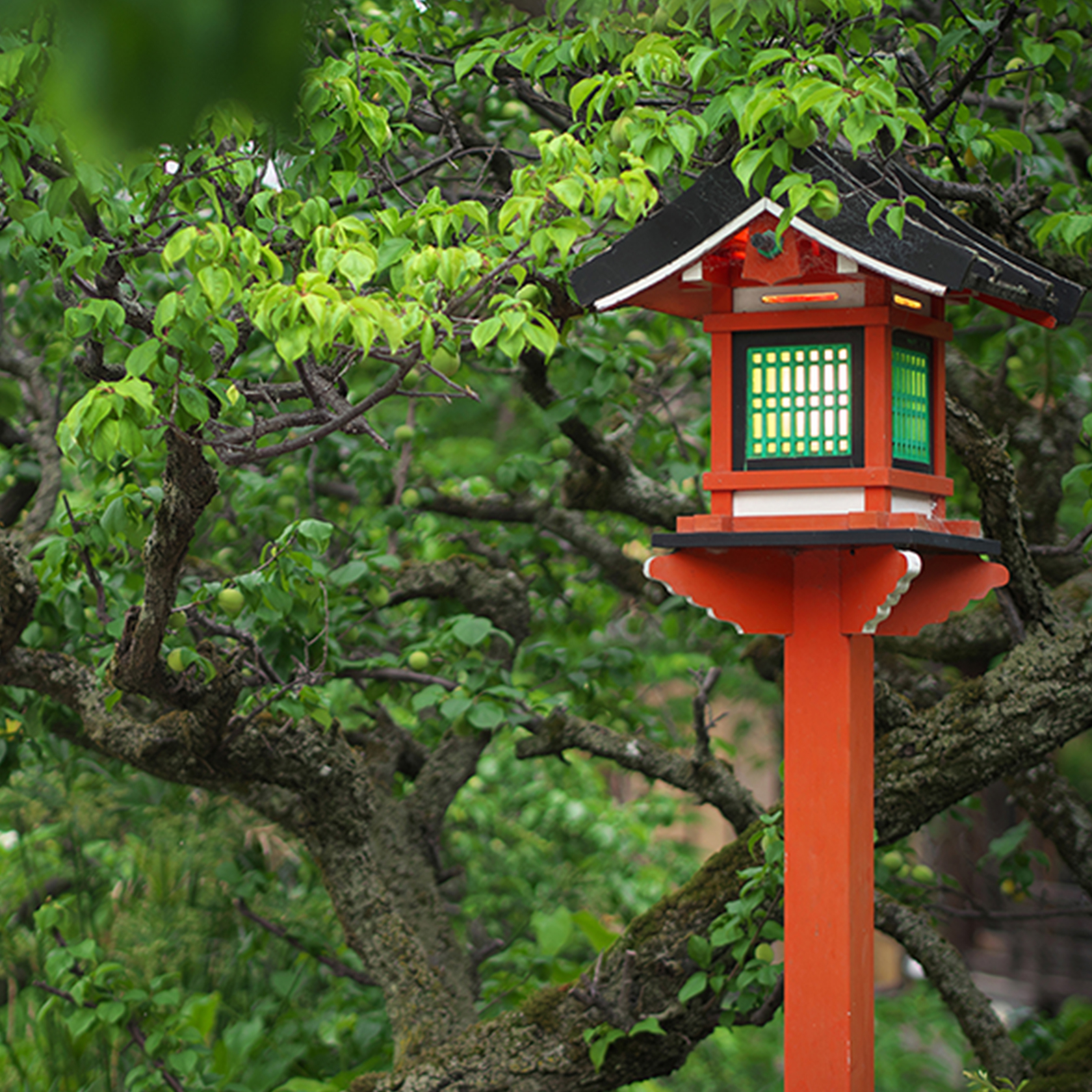 祇園白川